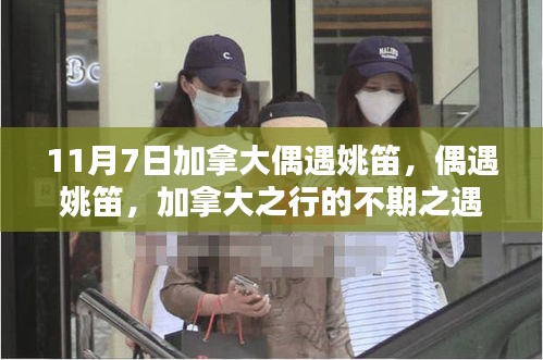 第2368页