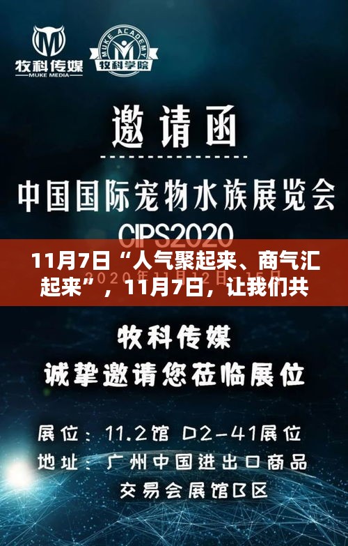 资料下载 第477页