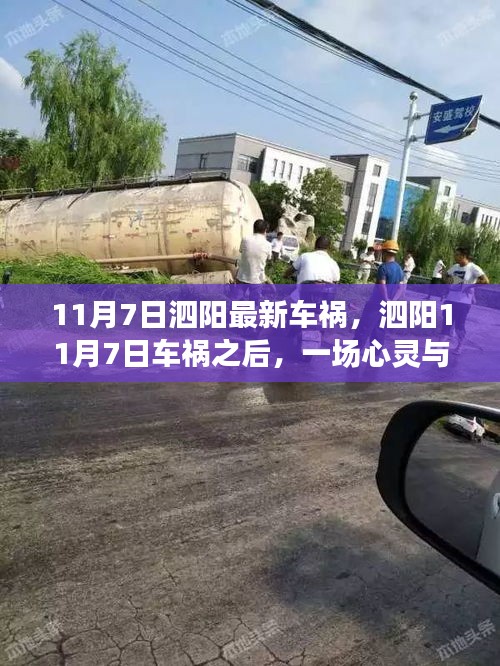 考级报名 第472页