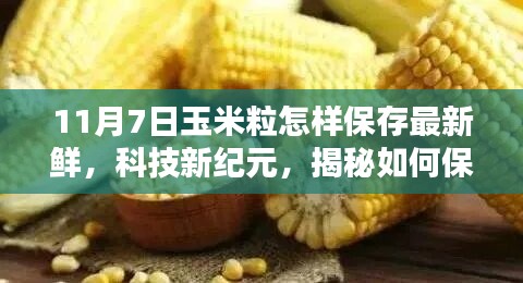 联系我们 第459页