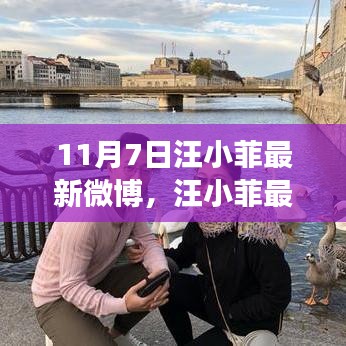 汪小菲最新微博动向，深度解读其在特定领域的地位与影响力