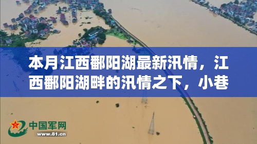 江西鄱阳湖汛情下的独特风情与最新汛况报告