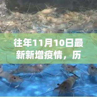 历年11月10日疫情数据深度解析，特性、体验、竞品对比及用户洞察报告