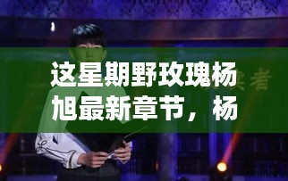 风驰电掣 第35页