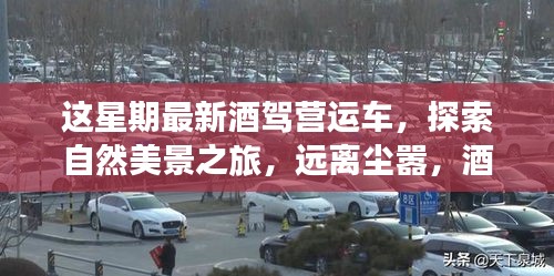关于我们 第389页