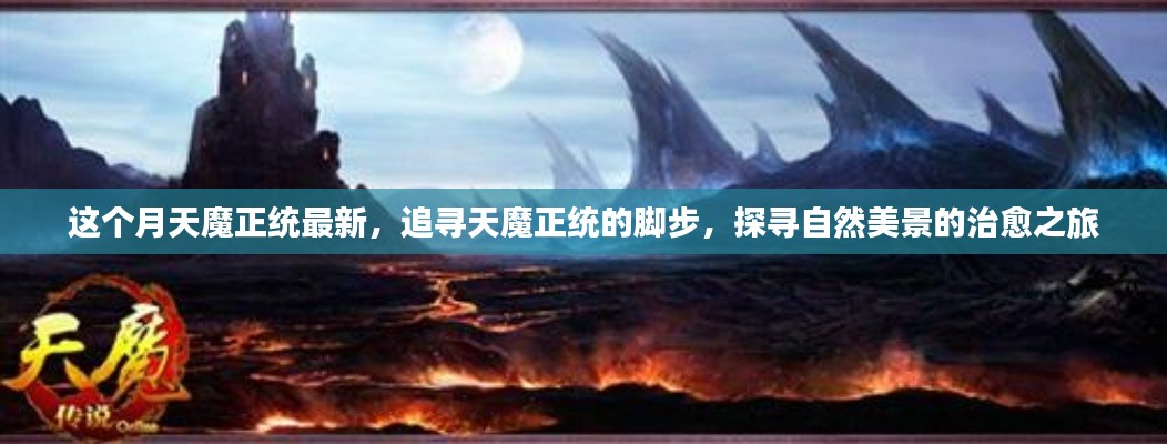 联系我们 第373页