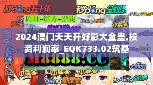2024澳门天天开好彩大全蛊,投资利润率_EQK733.02筑基
