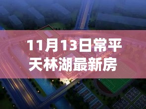 张牙舞爪 第29页