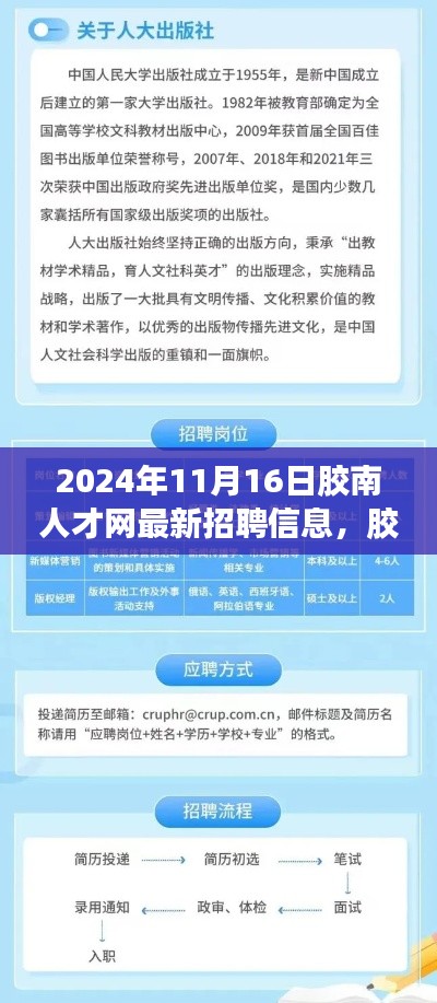 胶南人才网最新招聘信息亮点解析，2024年11月16日概览