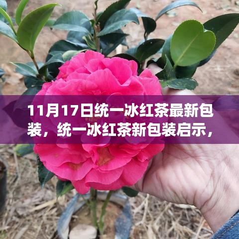 肝胆相照 第25页