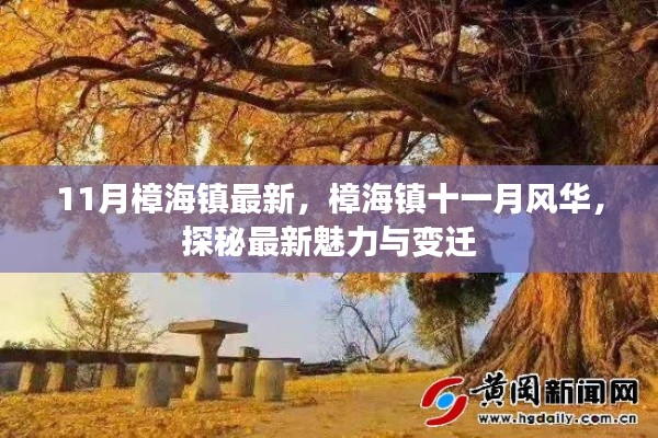 风驰电掣 第19页