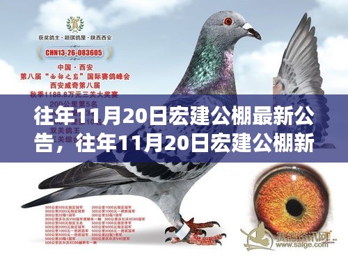 垂头丧气 第18页