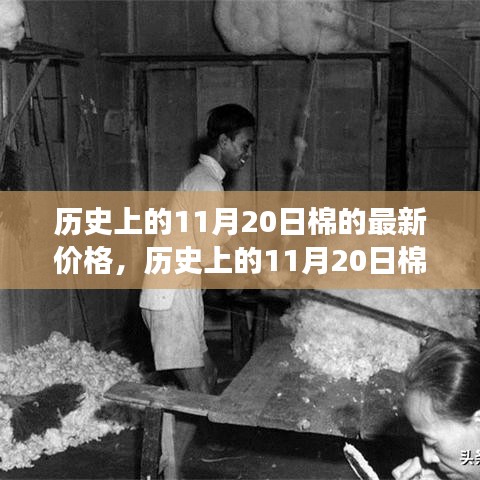 考级报名 第291页