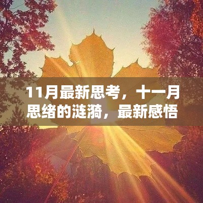 十一月思绪涟漪，最新感悟与启发