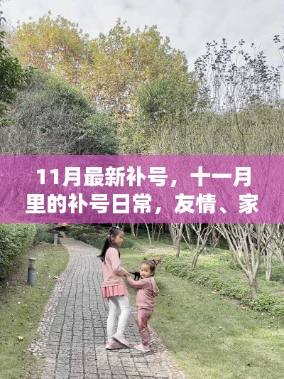 11月补号日常，友情、家庭与温馨的补号时光