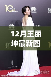 王丽坤十二月最新图片展示，时尚魅力的瞬间