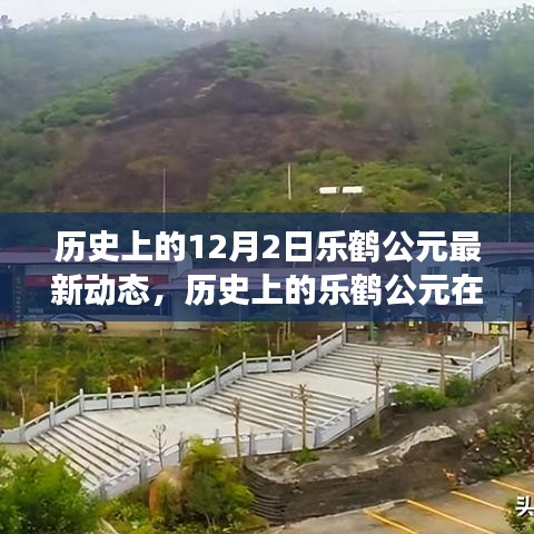 考级报名 第241页