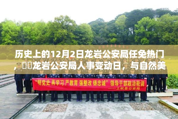 资料下载 第245页