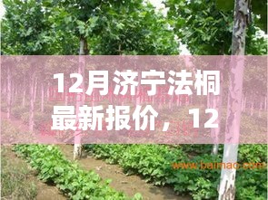 初遇在故事开头 第5页