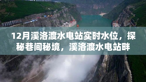 jingxianzhiniao 第3页