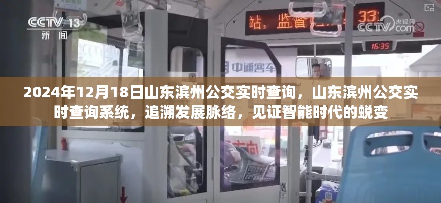 pusuwuhua 第3页