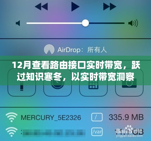 实时带宽监控，点亮成长之路，跃过知识寒冬的必备工具