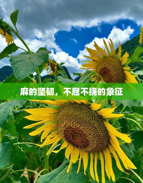 千娇百媚 第2页