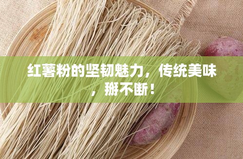 资料下载 第164页