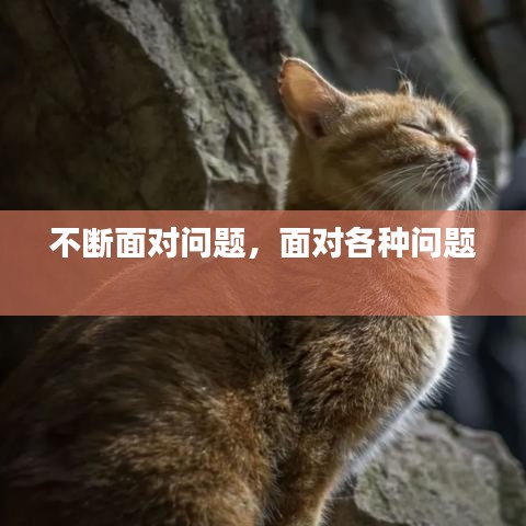 悬驼就石 第2页