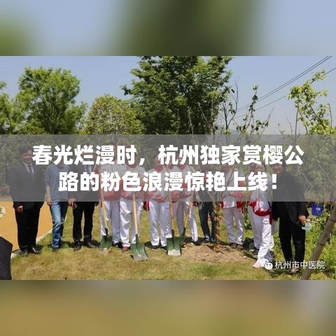 沉灶产蛙 第2页