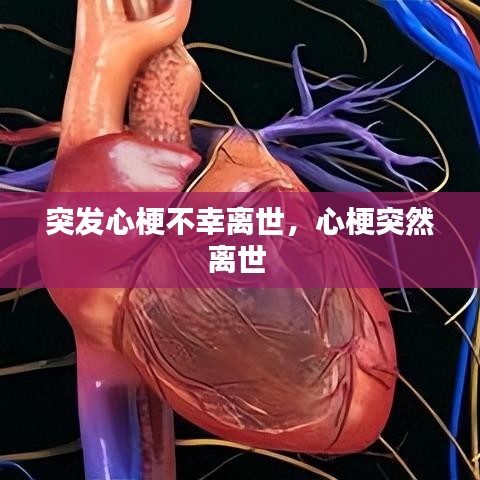 考级报名 第131页