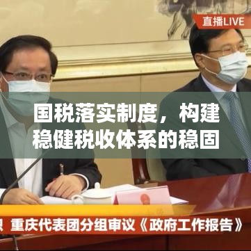 国税落实制度，构建稳健税收体系的稳固基石