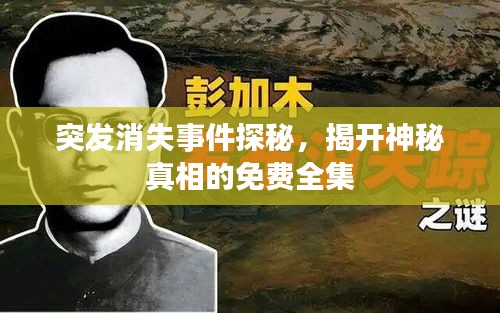 guiguanlvqingtouzu 第2页