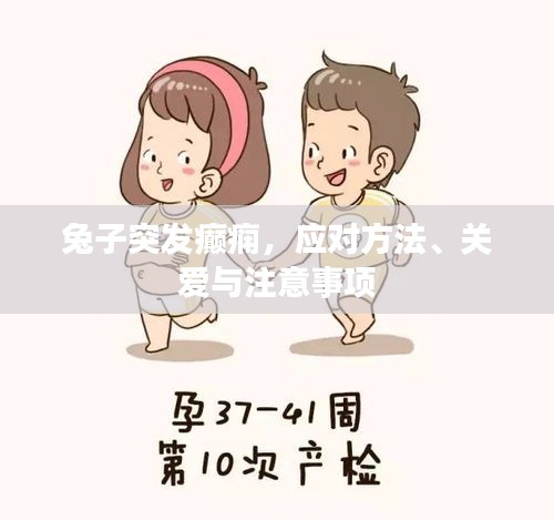 资料下载 第135页