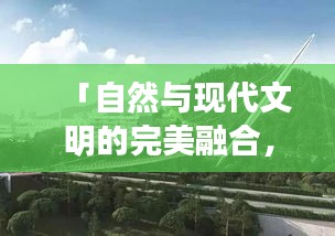 考级报名 第128页