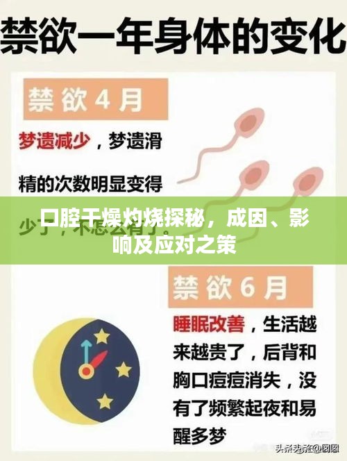 资料下载 第128页