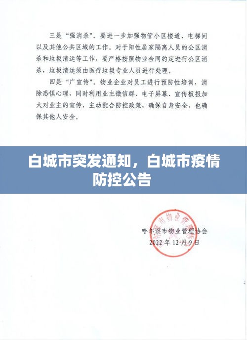 高不成低不就 第2页