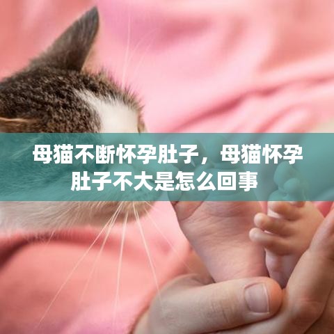 侃侃而谈 第2页
