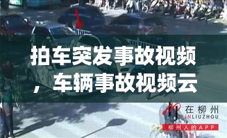 资料下载 第123页