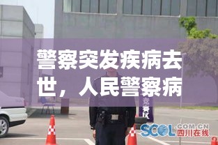 夫贵妻荣 第2页