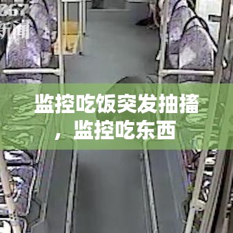 删华就素 第2页