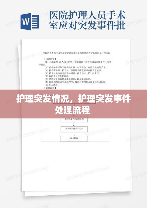 展翅高飞 第2页