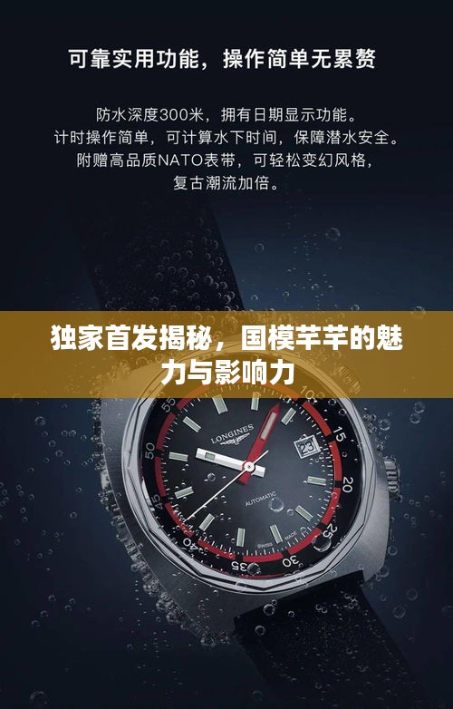 独家首发揭秘，国模芊芊的魅力与影响力