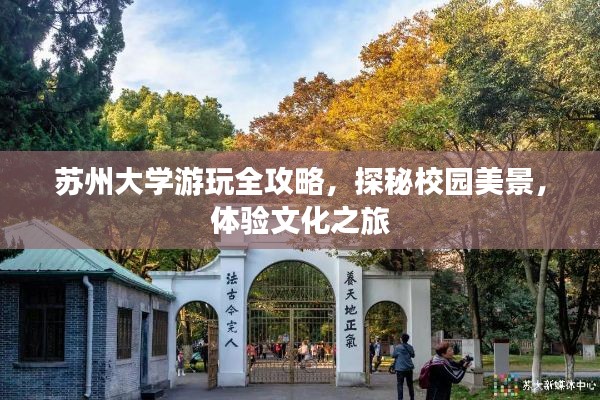 苏州大学游玩全攻略，探秘校园美景，体验文化之旅