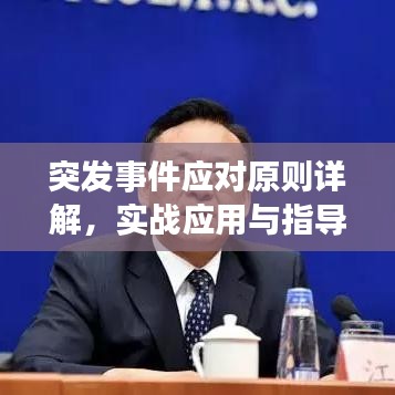 突发事件应对原则详解，实战应用与指导策略