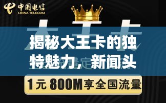 揭秘大王卡的独特魅力，新闻头条不容错过！