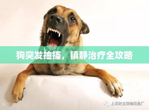 培训课程 第55页