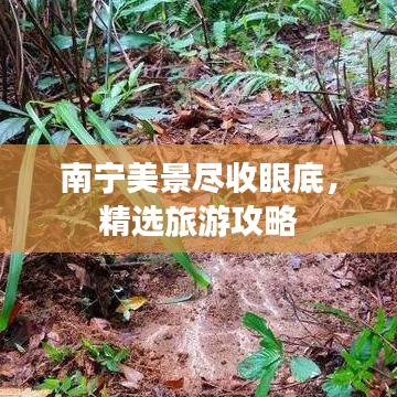 南宁美景尽收眼底，精选旅游攻略