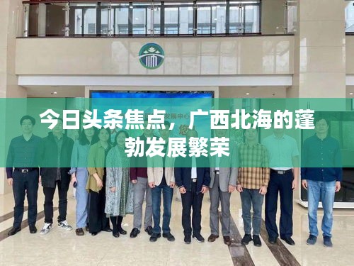 关于我们 第49页