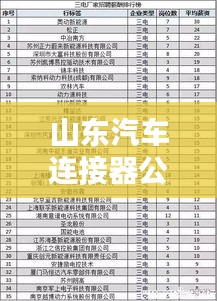 山东汽车连接器公司排名揭晓，领先企业榜单